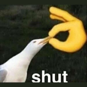 Meet your Posher, Jake